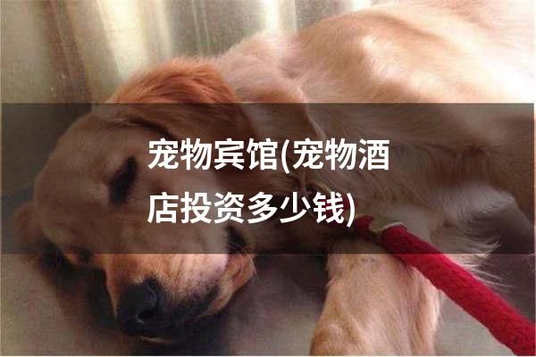 宠物宾馆(宠物酒店投资多少钱)