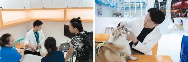 新瑞鹏集团圆满亮相深圳宠物展,义诊与优惠活动获宠主点赞