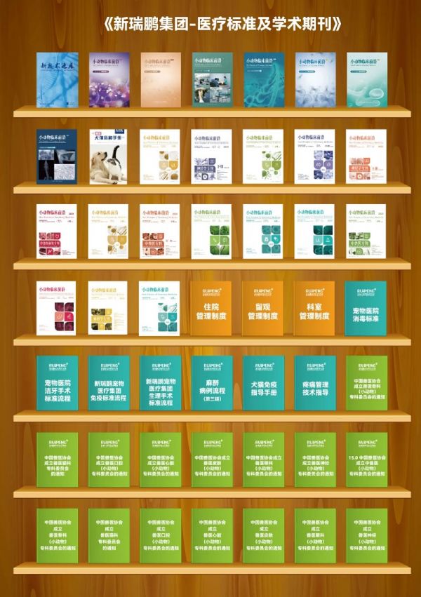 新瑞鹏集团-医疗标准及学术期刊