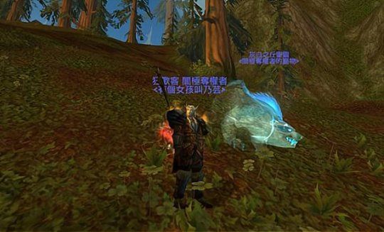 《魔兽世界》怀旧服wlk猎人必备宠物推荐
