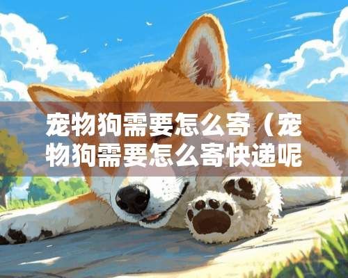 宠物狗需要怎么寄（宠物狗需要怎么寄快递呢）