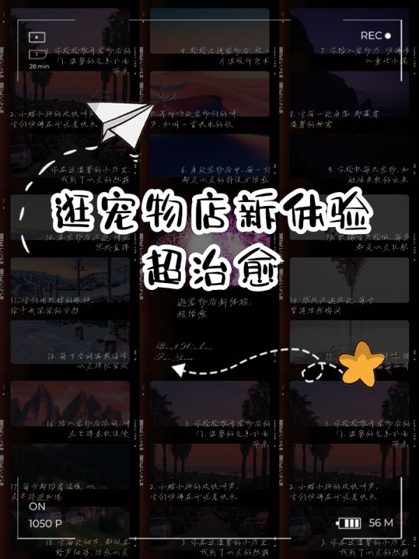 宠物店手游(养宠物店游戏)下载