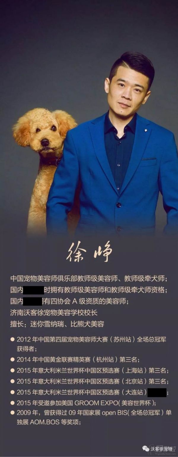 师资力量