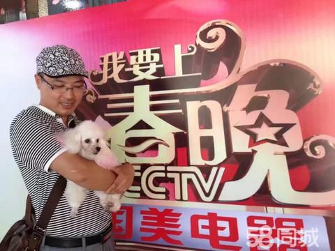 青岛赛肯宠物驯养基地·专业宠物犬不良行为矫正训练