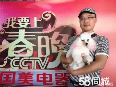店主头像