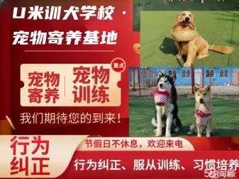 店主头像