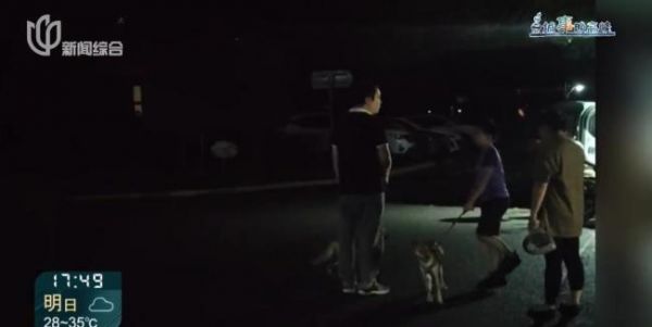上海一小区有人遛北美赤狐