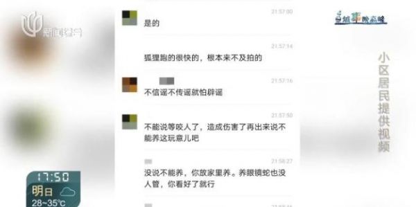 上海一小区有人遛北美赤狐 居民担忧安全问题