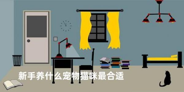 新手养什么宠物猫咪最合适
