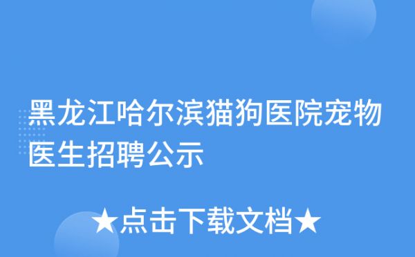 黑龙江哈尔滨猫狗医院宠物医生招聘公示