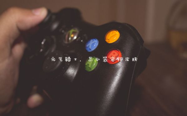 元气骑士，怎么装宠物皮肤