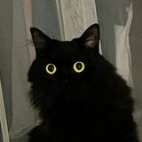 童牙