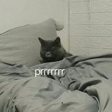 肘子起