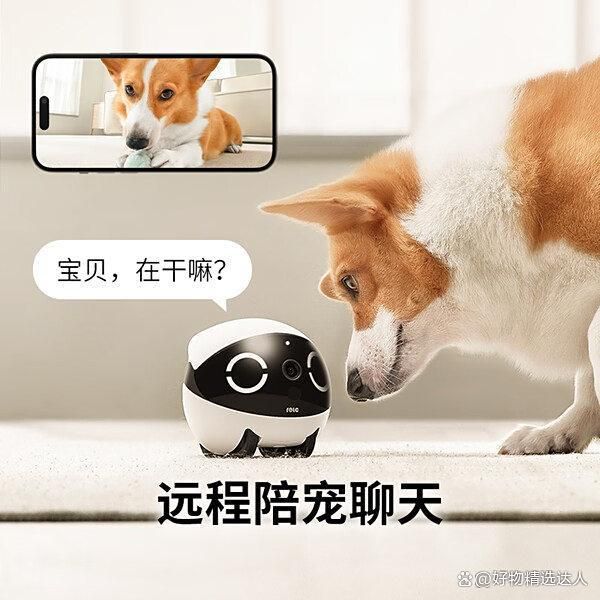 你会买陪伴机器人吗 智能伙伴让家更温馨
