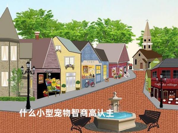 什么小型宠物智商高认主