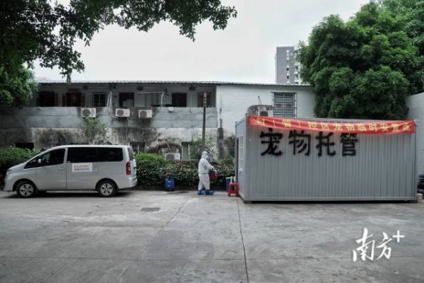 南方+ 石磊 拍摄
