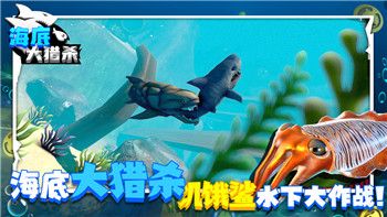 城堡破坏者宠物获取大全：全面解析如何收集所有宠物和提升游戏体验