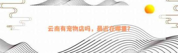 云南有宠物店吗，最近在哪里？