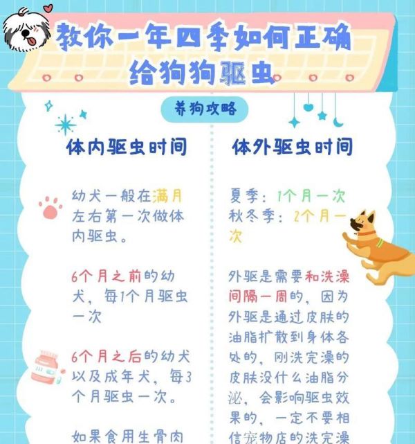 狗狗体内驱虫时间与方法解析（养狗必须知道的关于驱虫的知识）