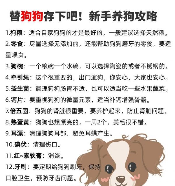 狗狗体内驱虫时间与方法解析（养狗必须知道的关于驱虫的知识）