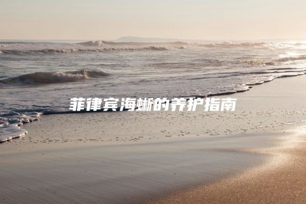 菲律宾海蜥的养护指南