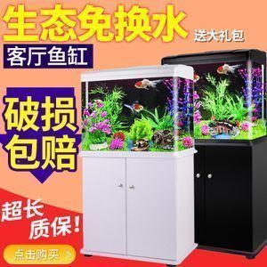 红龙鱼大湖的好还是赛级的好（大湖红龙鱼市场价格,红龙鱼品种鉴赏指南,红龙鱼比赛评判标准） 红龙鱼大湖的好还是赛级的好（大湖红龙鱼市场价格,红龙鱼品种鉴赏指南,红龙鱼比赛评判标准） 大湖红龙鱼百科 第4张