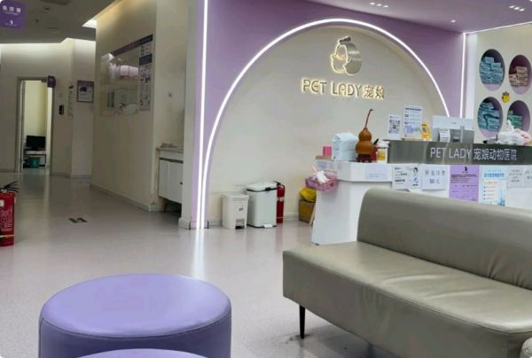 宠娘宠物店