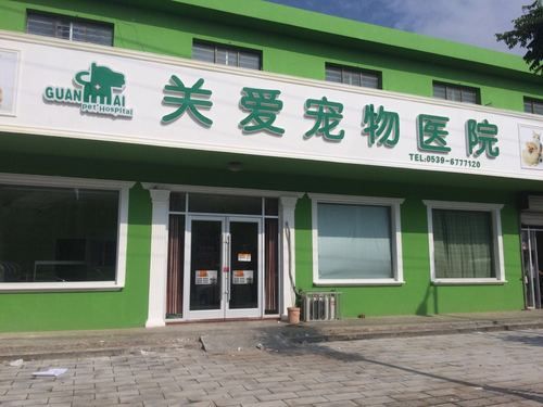 宠物医院德州,山东德州最好的宠物医院