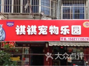 禹城宠物：了解禹城宠物市场？禹城宠物店排行榜