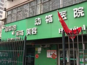 禹城宠物：了解禹城宠物市场？禹城宠物店排行榜
