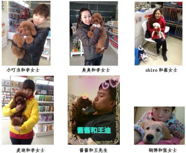 派多格宠物美容店