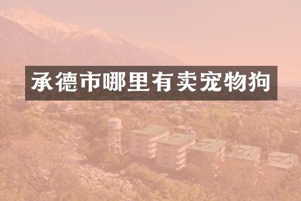 承德市哪里有卖宠物狗