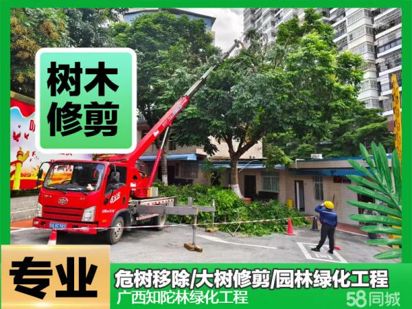 店主头像