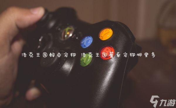 洛克王国鲸鱼宠物 洛克王国翼系宠物哪里多