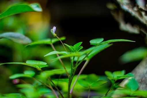 宠物医院短信推广四大营销方案，快速提升知名度!