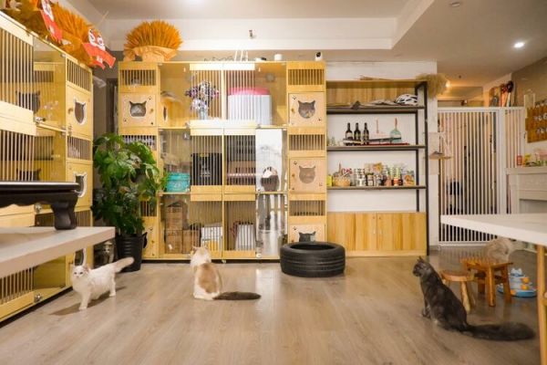 宠物用品店开店秘籍:成本预算、选址技巧与运营策略