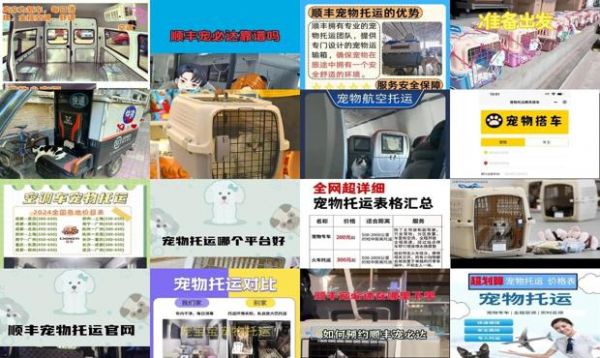 顺丰快递托运宠物