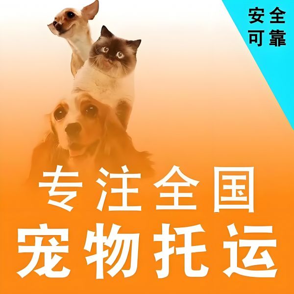 揭阳靠谱的托运-火车托运