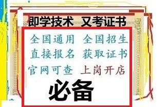 武汉宠物护理师证怎么考.武汉宠物医生培训学校