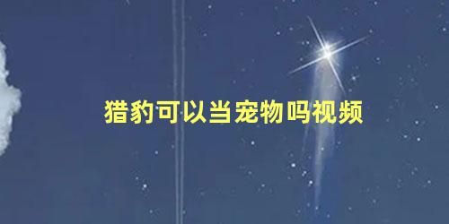 猎豹可以当宠物吗视频