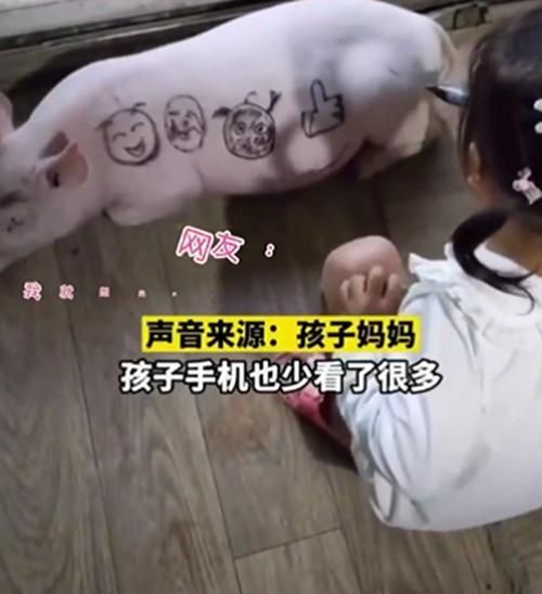 女孩不玩手机和猪玩 宠物猪成新宠
