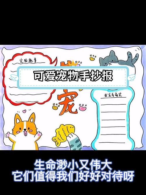 萌宠主题手抄报猫咪狗狗全登场