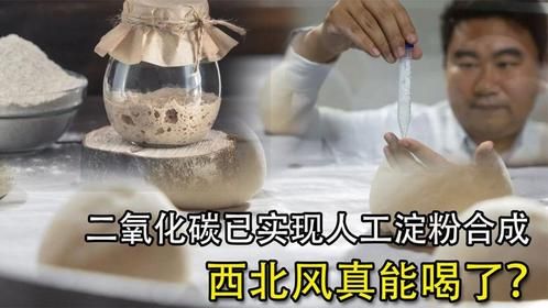 西北风真能喝了，空气也可变馒头？二氧化碳已实现人工淀粉合成