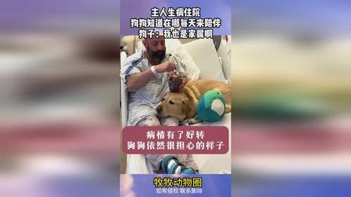 主人生病住院，狗狗知道在哪每天来陪伴，狗子：我也是家属啊