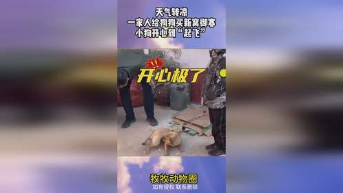 天气转凉，一家人给狗狗买新窝御寒，小狗开心到“起飞”