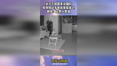女子下班回家没路灯，叫狗狗送手电筒来接自已，网友：比男人靠谱
