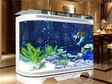 重庆禾鼎水族专业出售批发各类观赏鱼/鱼缸设备等等