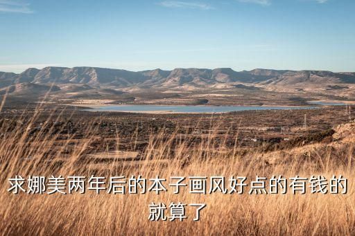 神奇宝贝本子，求娜美两年后的本子画风好点的有钱的就算了