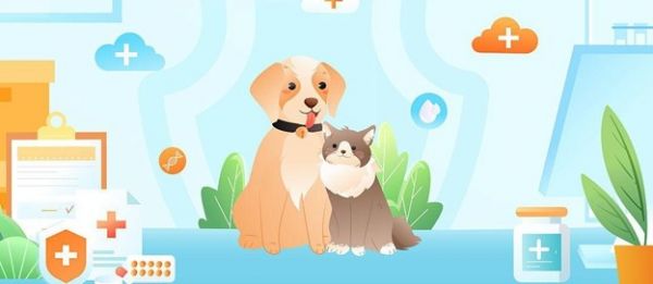 宠物问诊app
