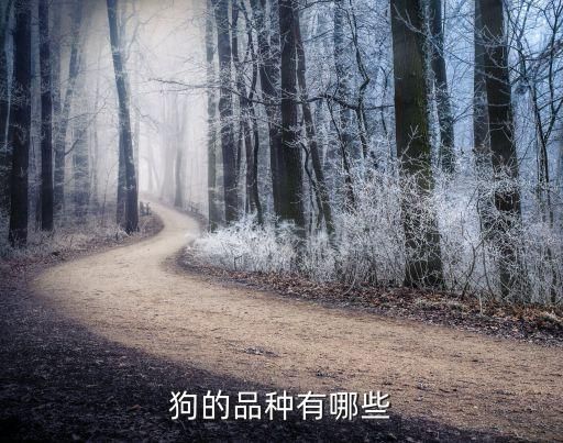 狗的品种有哪些
